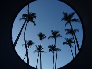 ALTOS COQUEIROS