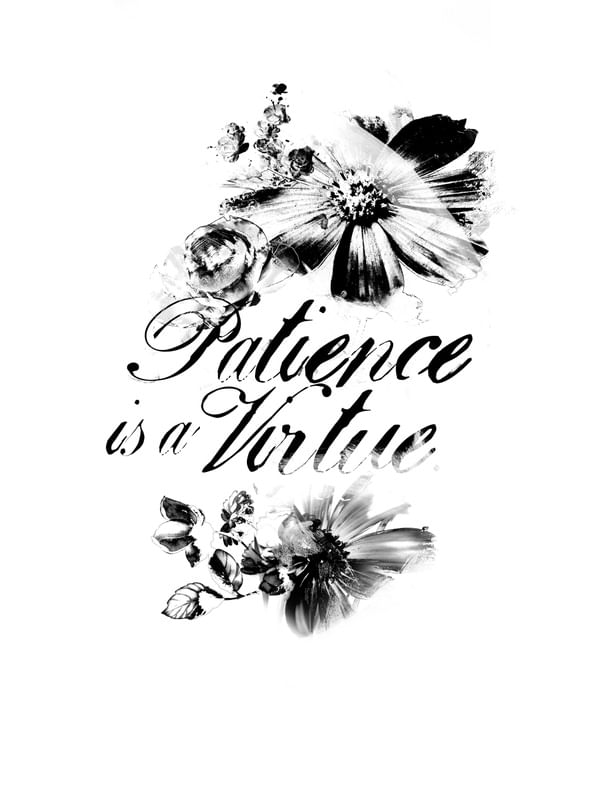 PATIENCE IS A VIRTUE