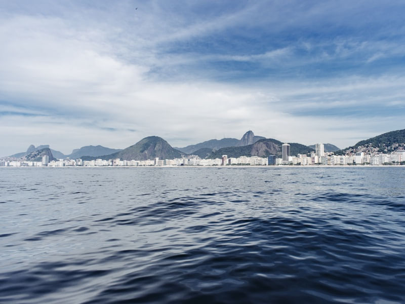 THE BAY