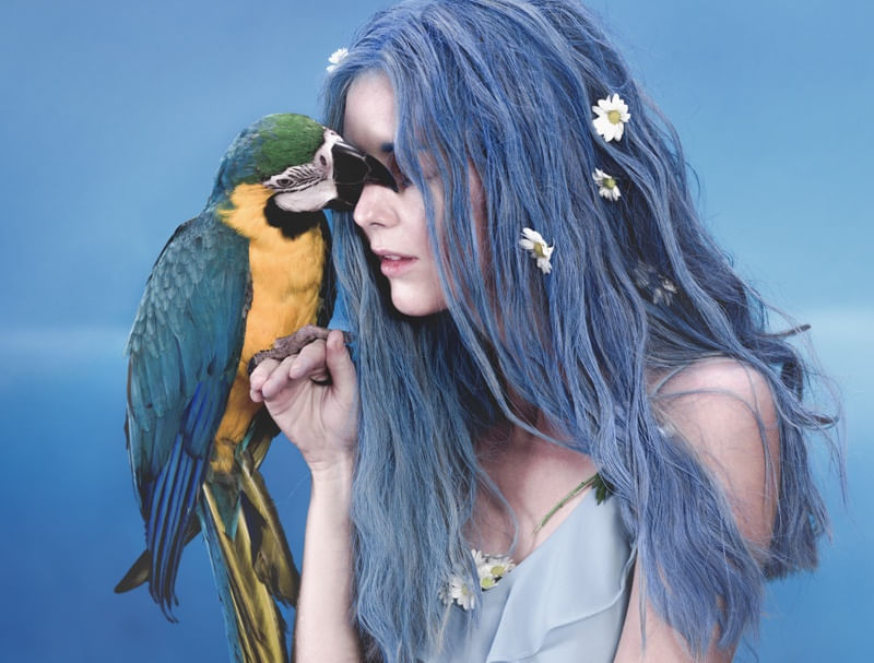 BLUE PARADISE 2