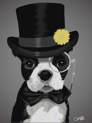 SIR DOG