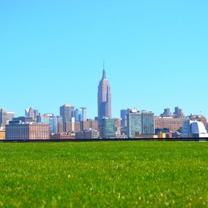 NYC PEACEFUL