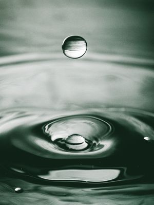 GOTA MUNDO