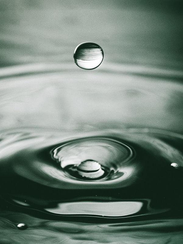 GOTA MUNDO