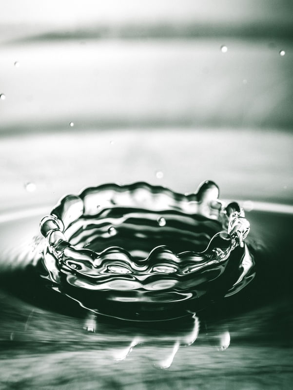 GOTA DE VIRDRO