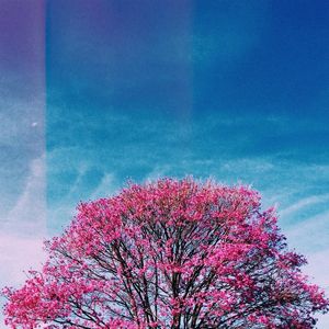 2365