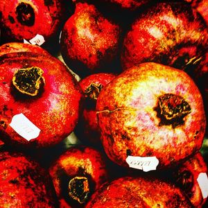 ROMAS