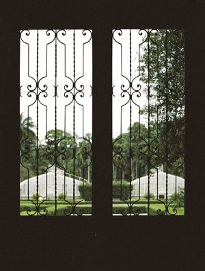 O JARDIM ATRAVÉS DA JANELA
