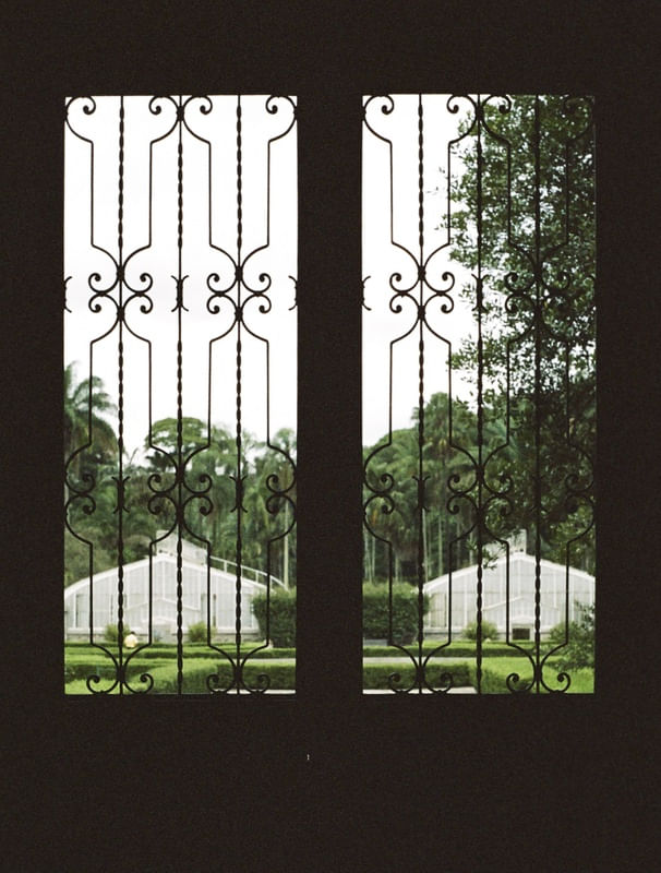 O JARDIM ATRAVÉS DA JANELA