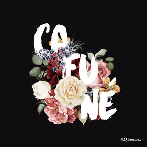 CAFUNÉ II