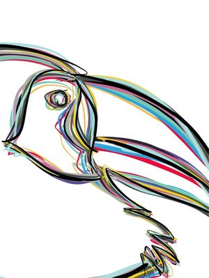 TUCANO COLOR