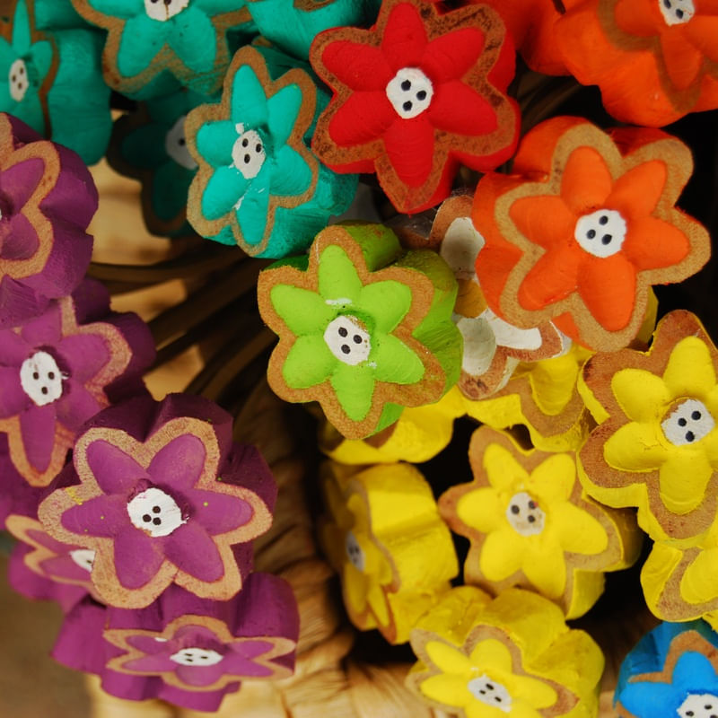 FLORES E CORES