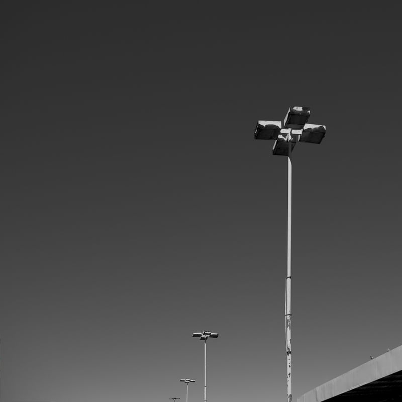 DOIS POMBOS