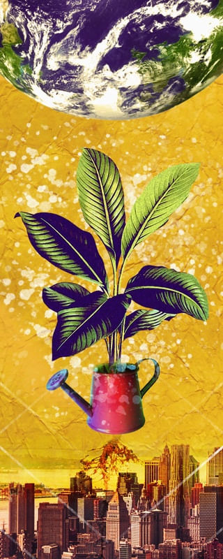 TERRA E FLOR