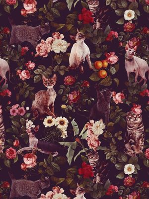 FLORAL AND CATS PATTERN