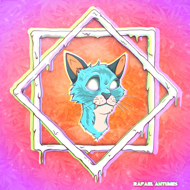 PSY CAT