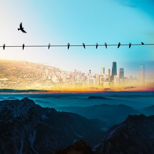 BIRDS IN THE CITY