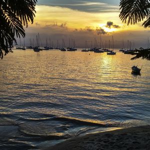 BRAZILIAN SUNSET