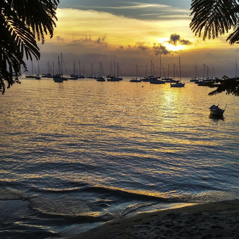 BRAZILIAN SUNSET
