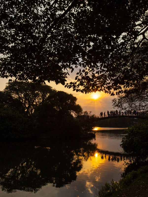 IBIRA SUNSET