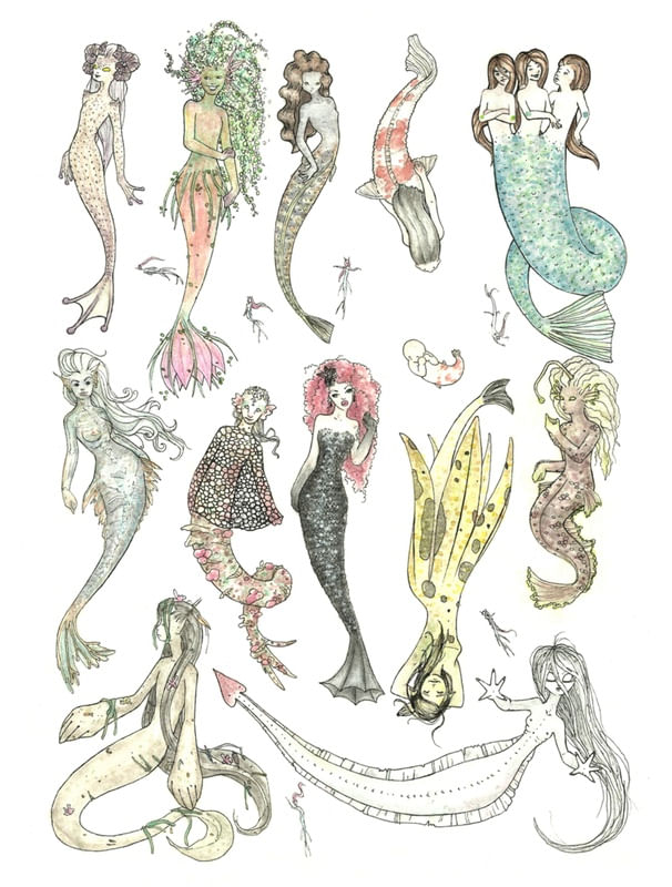ESPÉCIES DE SEREIA