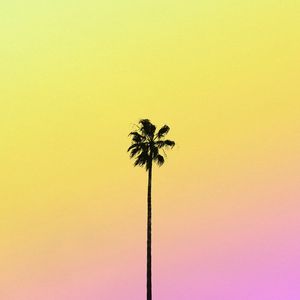 PALM I