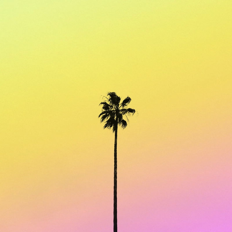 PALM I