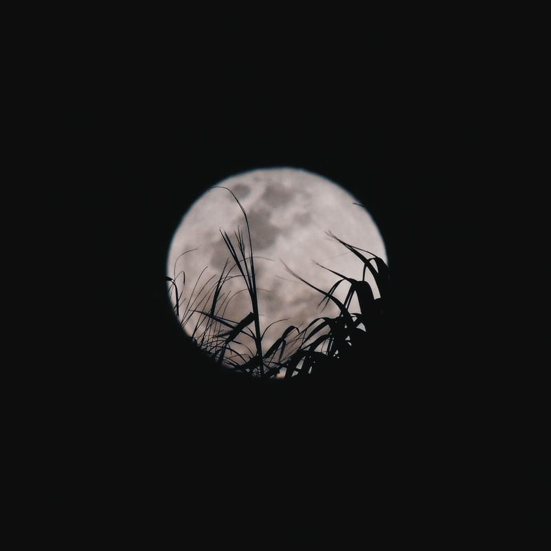 LUA DE CAMPO