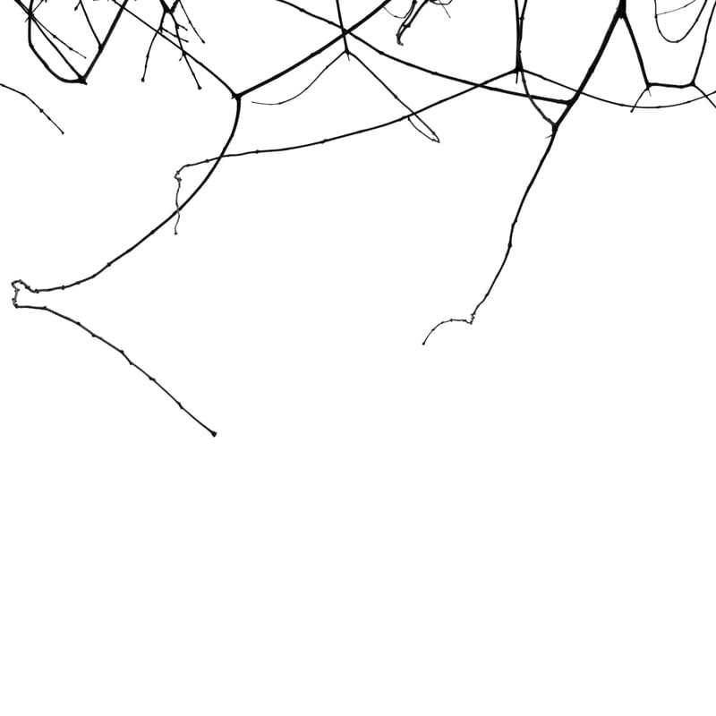 RABISCO