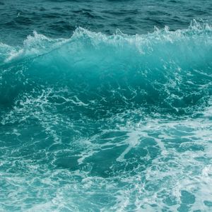 LOVE SEA 1