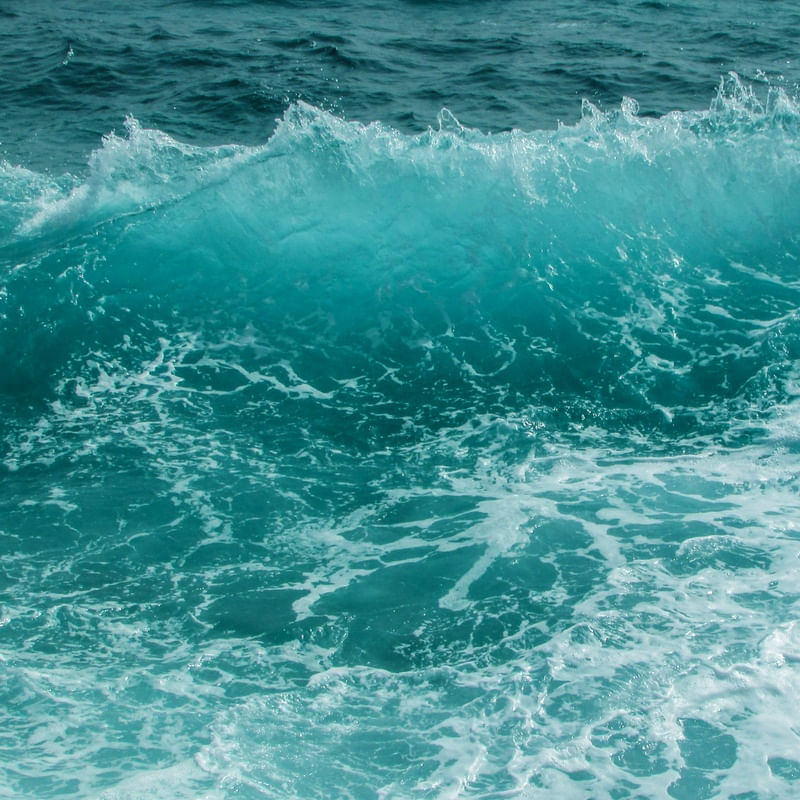 LOVE SEA 1