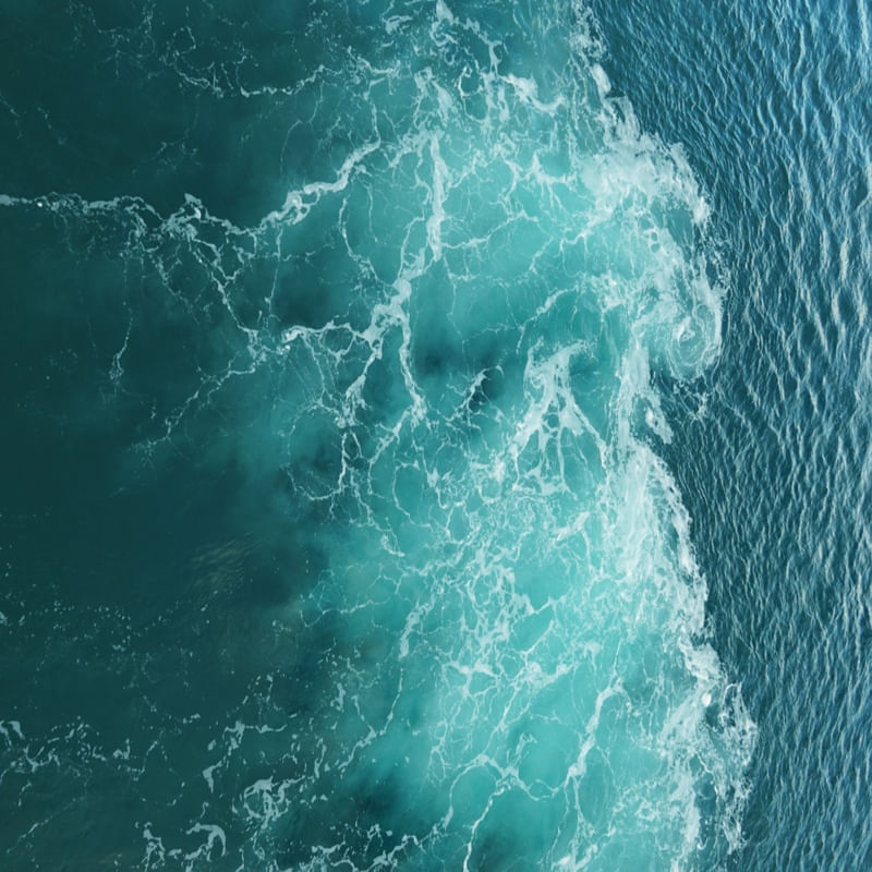 LOVE SEA 2