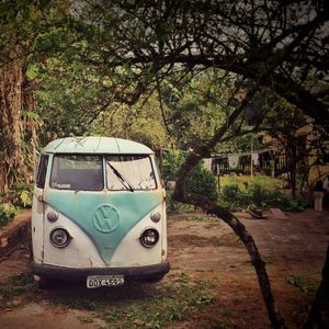 KOMBI NATUREZA 1
