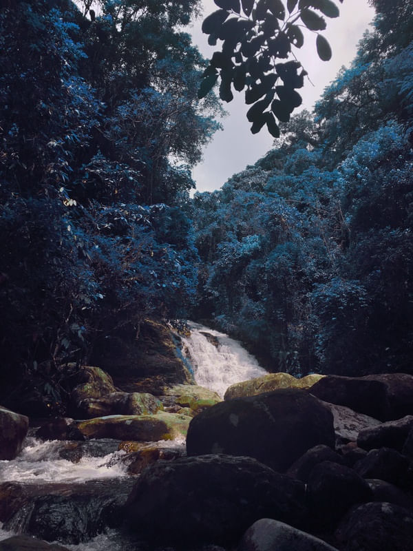 CACHOAZUL