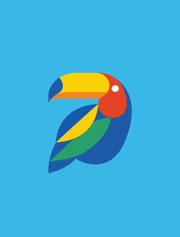 COLORFUL BIRD TOUCAN