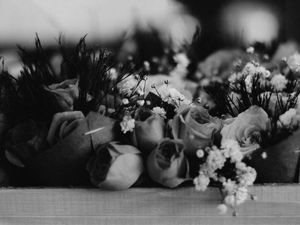 DARK FLOWERS #1