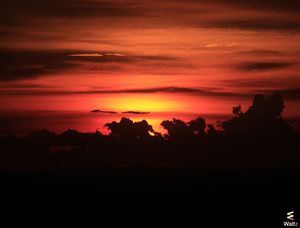 BOA NOITE WALTZ