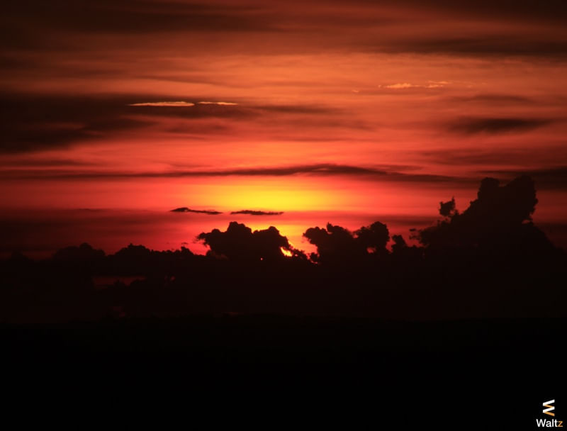 BOA NOITE WALTZ