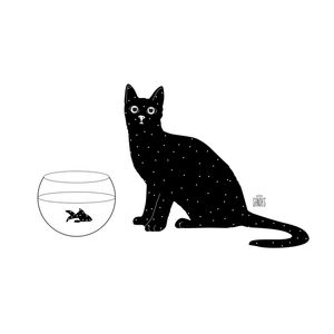 GATO UNIVERSO