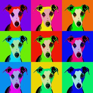 WHIPPET POP ART