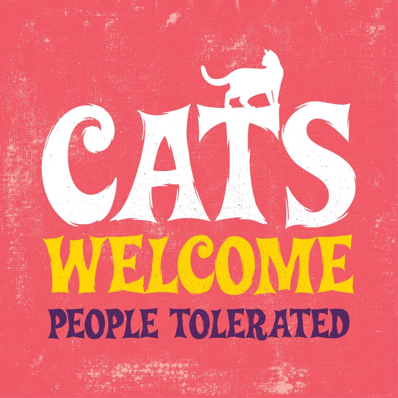 CATS WELCOME