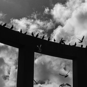 RETAS, CURVAS E POMBOS