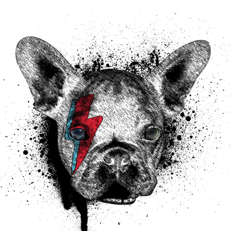 BULLDOG BOWIE