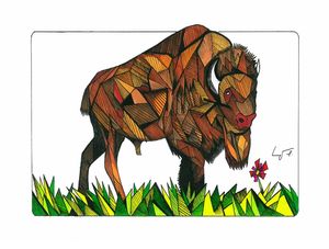 BISON GEOMETRIC