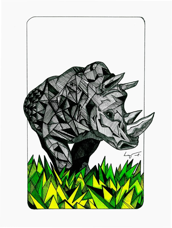 RHINO GEOMETRIC