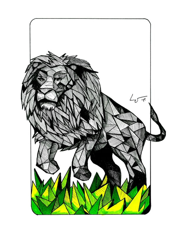 LEO GEOMETRIC