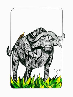 BUFFALO GEOMETRIC