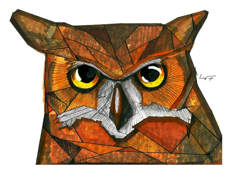 OWL GEOMETRIC