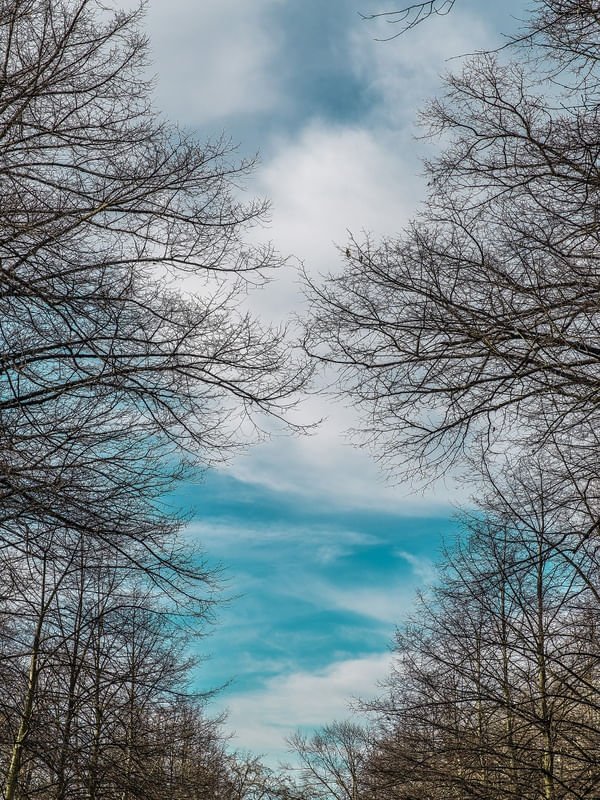 CÉUAZUL