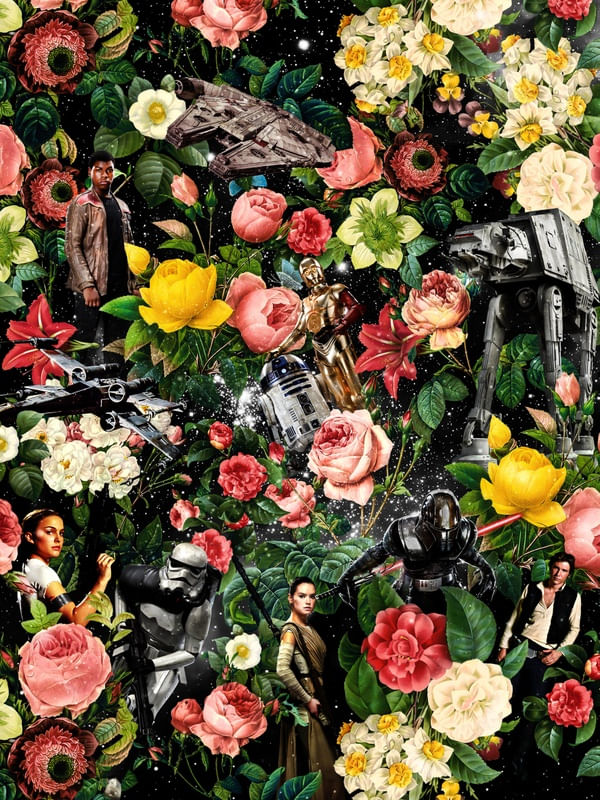 STARWARS AND FLORAL PATTERN